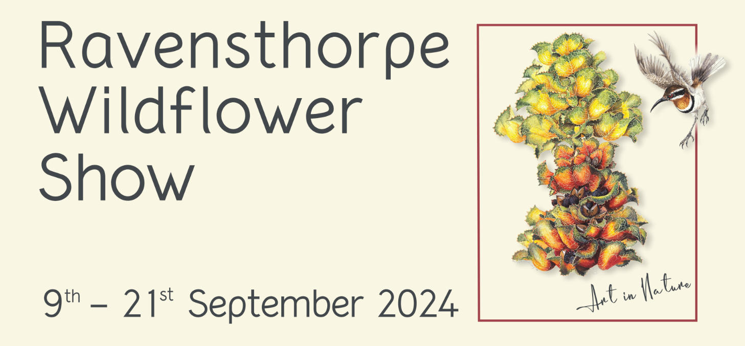Ravensthorpe Wildflower Show 2024
